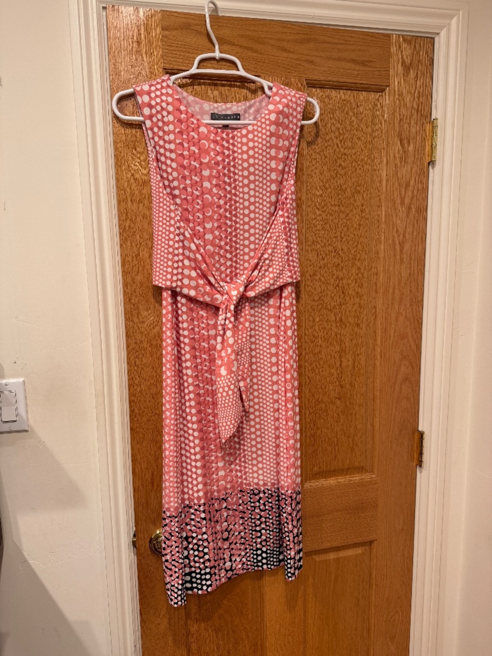 Sharagano  Dress